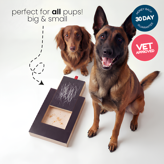 Lunoox™ Dog Nail Scratch Board