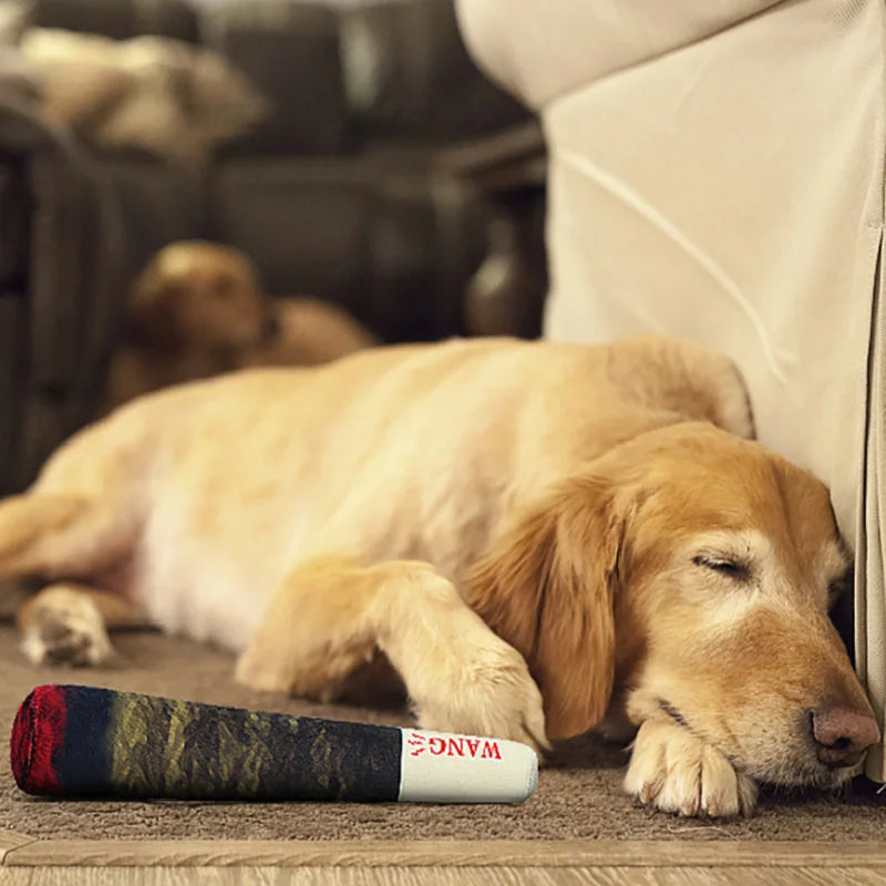 Squeaky Joint-Shaped Dog Toy