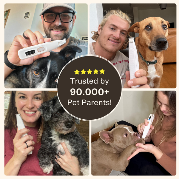 Lunoox™ Cordless Pet Paw Hair Trimmer