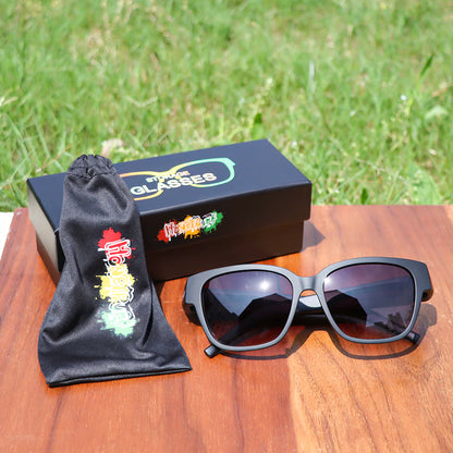 Lunoox™ Hidden Storage Sunglasses